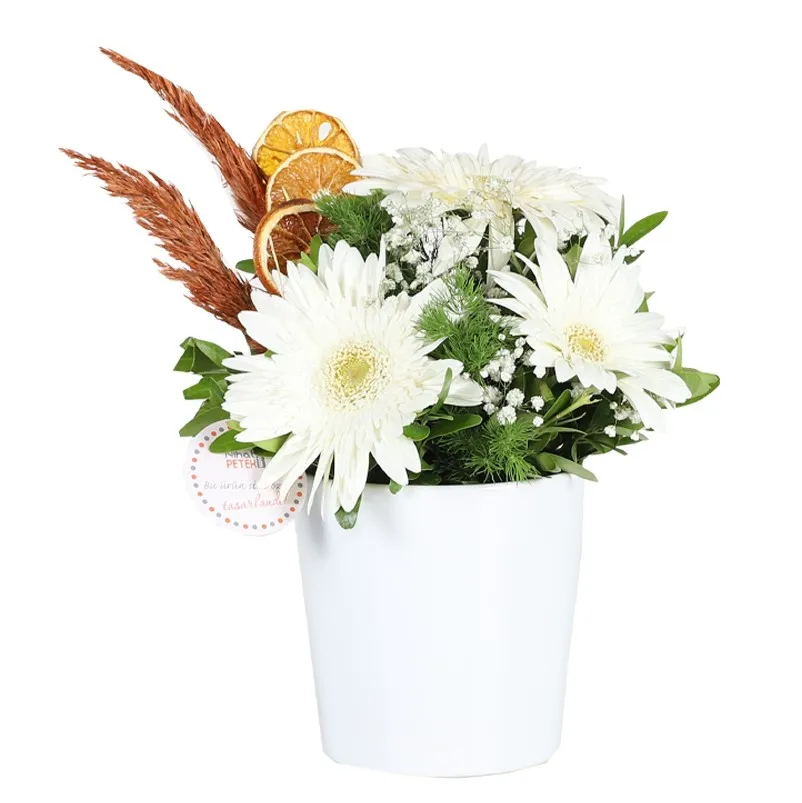 Kişiye Özel Resimli Beyaz Gerbera